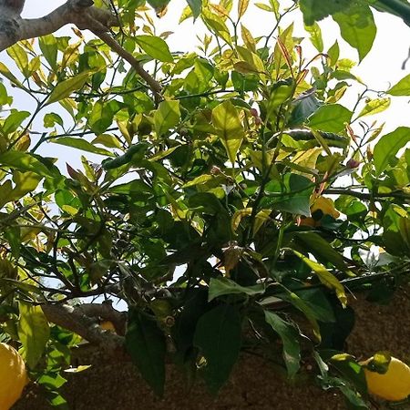 Appartamento La Pica Marina Anacapri Esterno foto