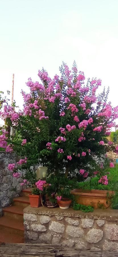 Appartamento La Pica Marina Anacapri Esterno foto